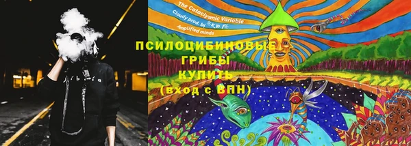 дживик Алзамай