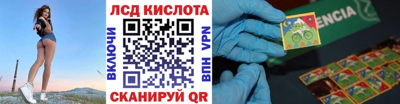 darknet как зайти  Ардатов  Марки NBOMe 1,5мг  цена наркотик 