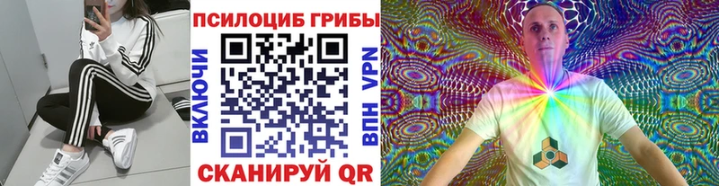 Псилоцибиновые грибы Psilocybine cubensis  mega ссылка  Ардатов 